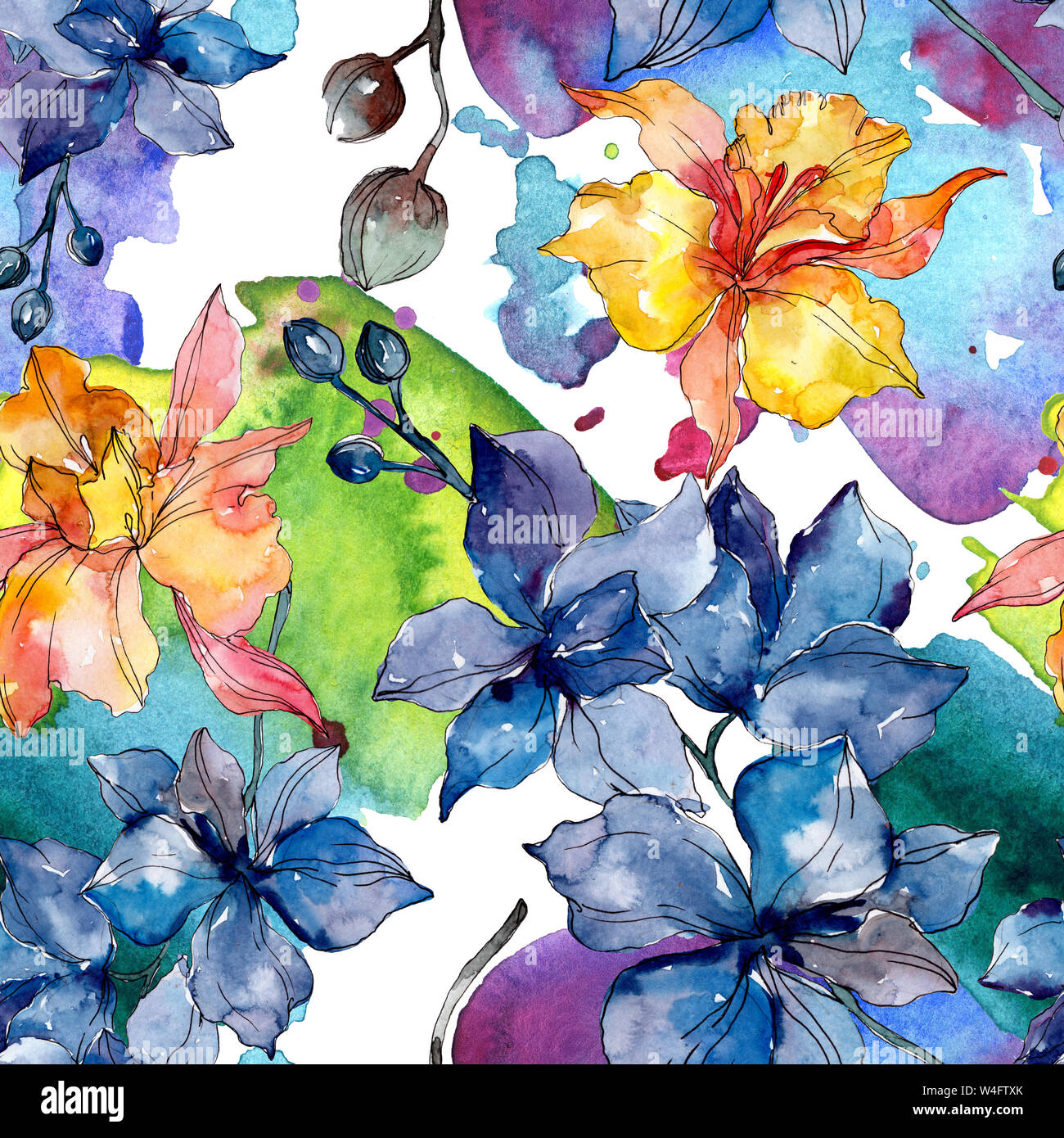 Floral fleurs orchidées botaniques. Printemps sauvage de fleurs sauvages de la feuille. Illustration à l'aquarelle. Aquarelle Dessin aquarelle de mode. Fond transparent Banque D'Images