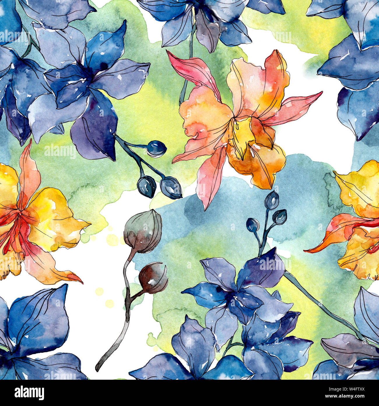 Floral fleurs orchidées botaniques. Printemps sauvage de fleurs sauvages de la feuille. Illustration à l'aquarelle. Aquarelle Dessin aquarelle de mode. Fond transparent Banque D'Images