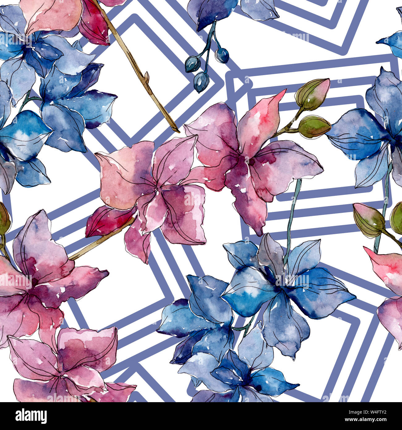 Floral fleurs orchidées botaniques. Printemps sauvage de fleurs sauvages de la feuille. Illustration à l'aquarelle. Aquarelle Dessin aquarelle de mode. Fond transparent Banque D'Images