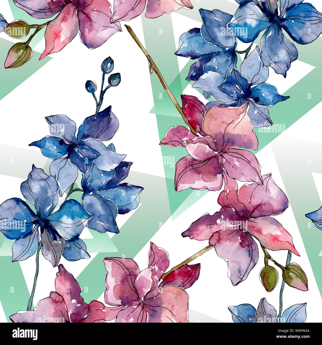 Floral fleurs orchidées botaniques. Printemps sauvage de fleurs sauvages de la feuille. Illustration à l'aquarelle. Aquarelle Dessin aquarelle de mode. Fond transparent Banque D'Images