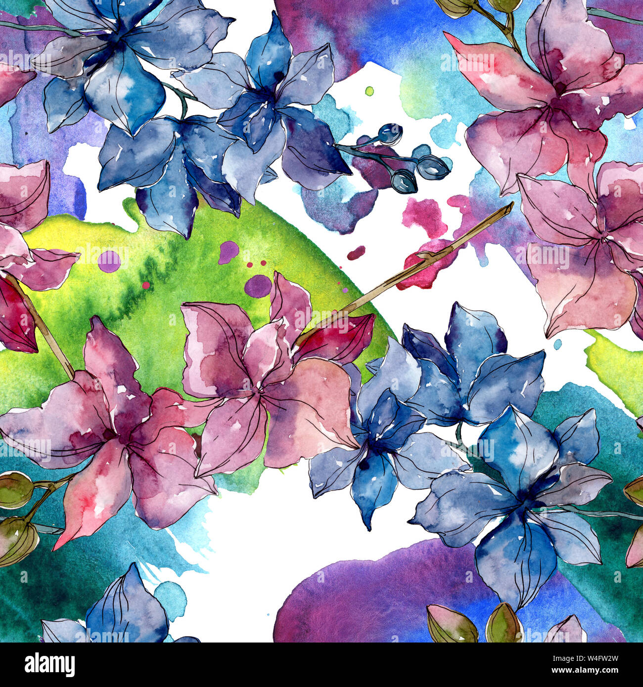 Floral fleurs orchidées botaniques. Printemps sauvage de fleurs sauvages de la feuille. Illustration à l'aquarelle. Aquarelle Dessin aquarelle de mode. Fond transparent Banque D'Images