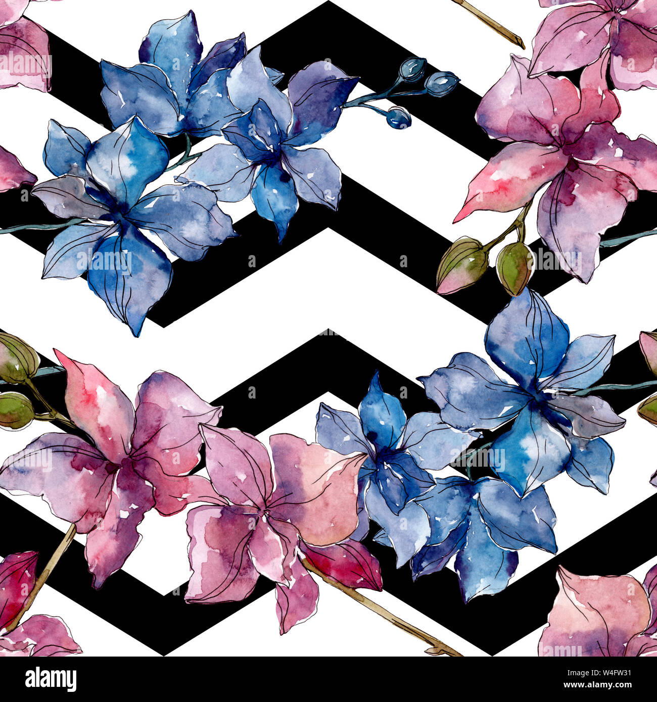 Floral fleurs orchidées botaniques. Printemps sauvage de fleurs sauvages de la feuille. Illustration à l'aquarelle. Aquarelle Dessin aquarelle de mode. Fond transparent Banque D'Images