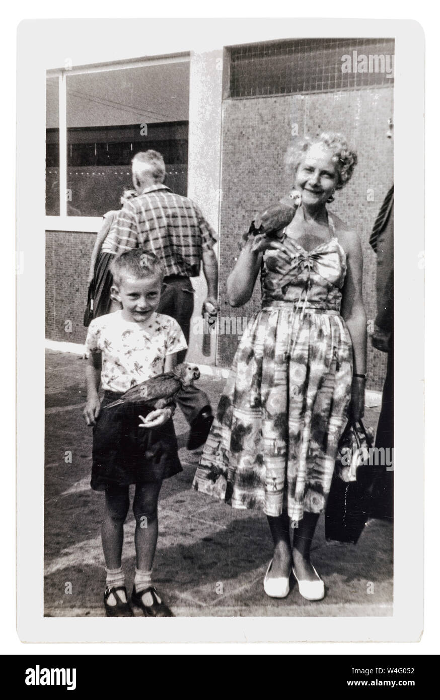 Petit garçon avec sa grand-mère holding perroquets à Clarence Pier fête foraine Banque D'Images
