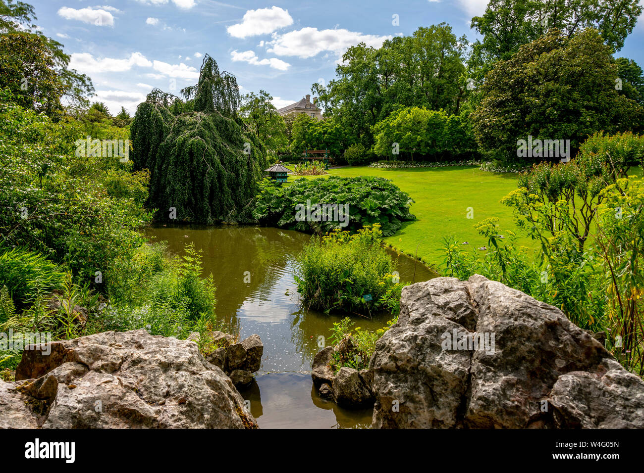 Jardin botanique de Nantes. La Loire-Atlantique. Les pays de la Loire. France Banque D'Images