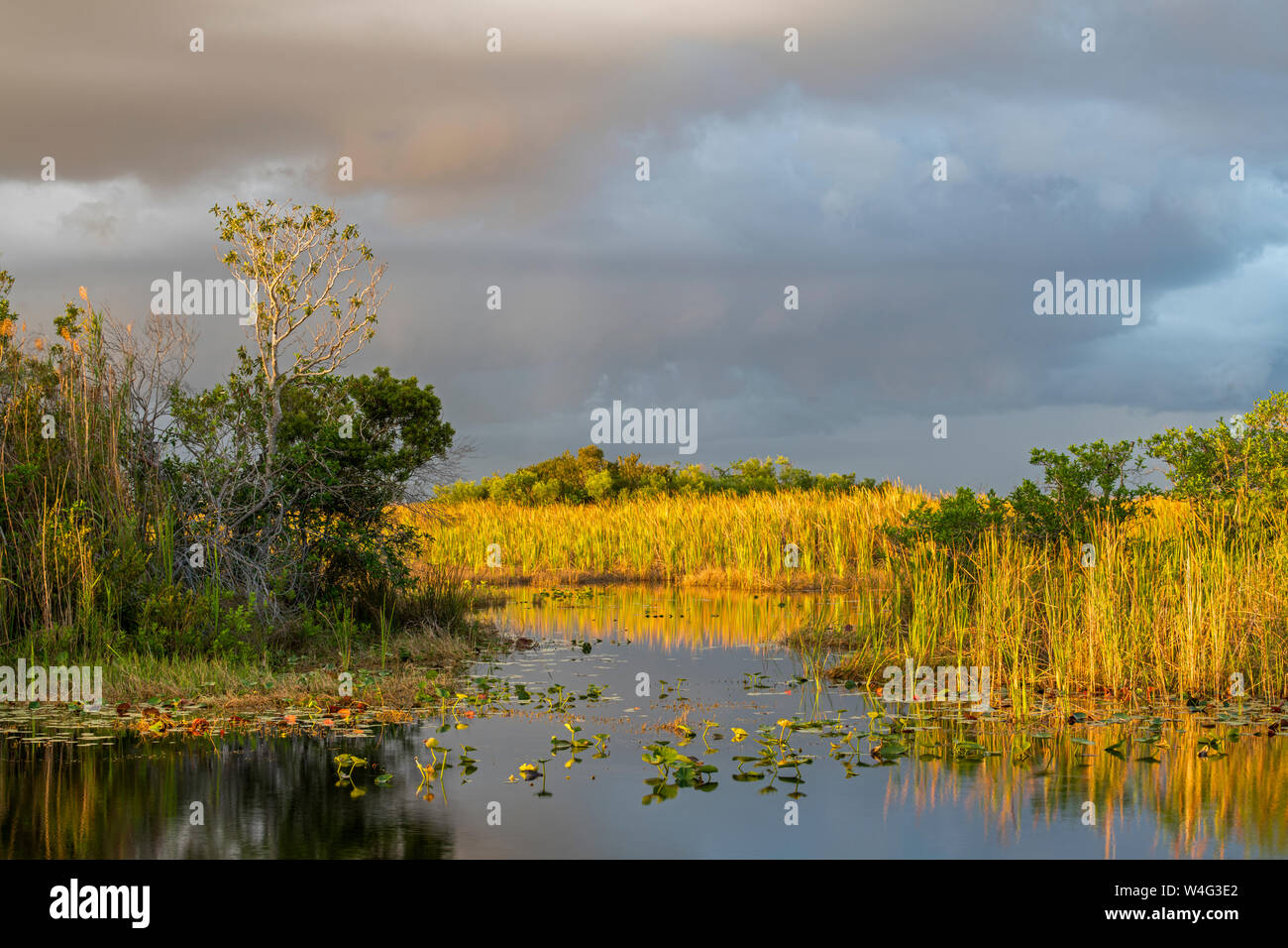 Le Parc National des Everglades, en Floride. Le coucher du soleil. Banque D'Images