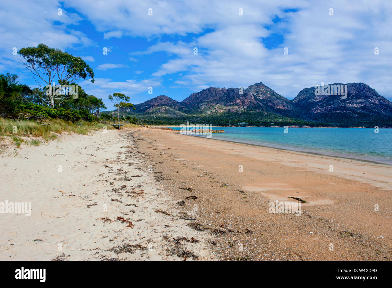 Plage à Coles Bay, parc national de Freycinet, Tasmanie, Australie Banque D'Images