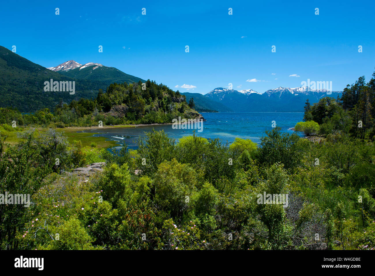 Parc National Los Alerces, Chubut, Argentine, Amérique du Sud Banque D'Images