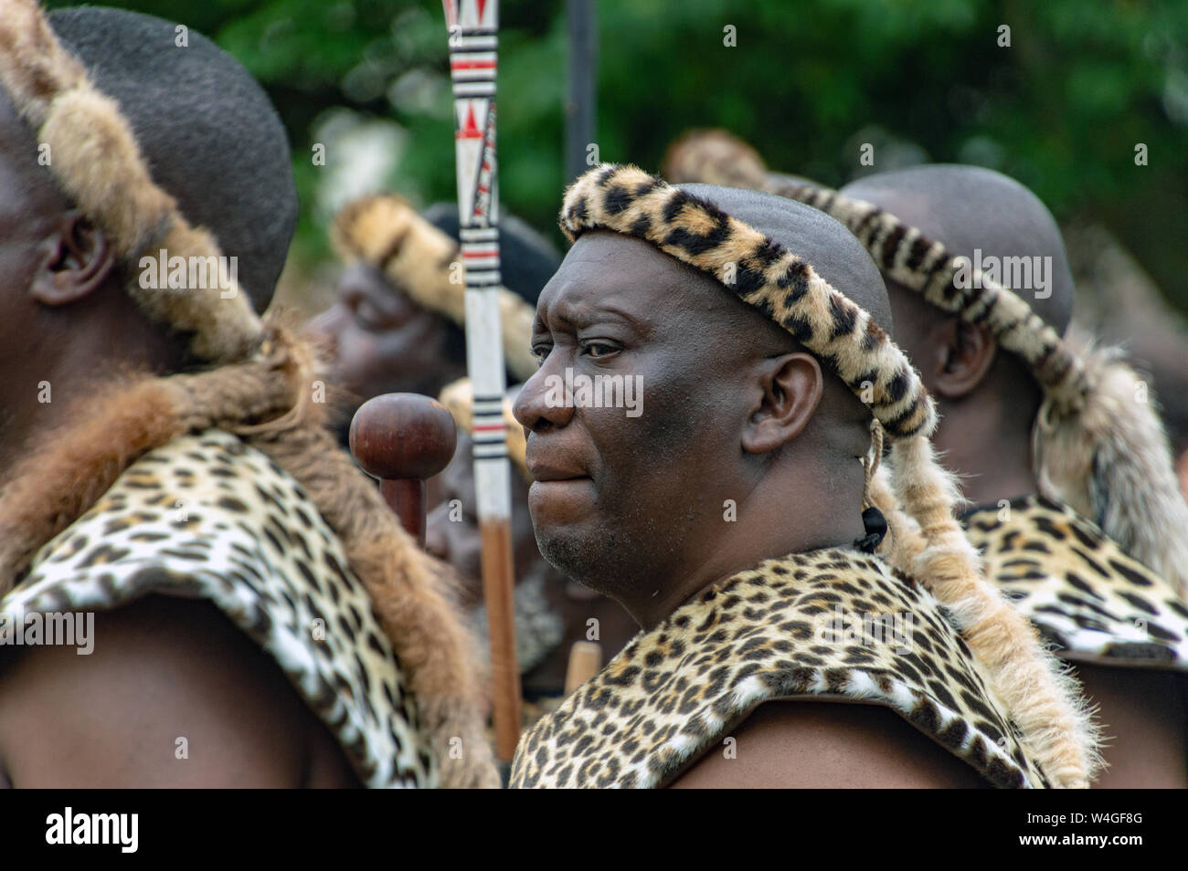 Les guerriers zoulous. Visite du roi d'acquisition de la Zulu Nation au Royal Welsh Show (RWAS) de Builth Wells. Llanelwedd, Powys, Pays de Galles. Banque D'Images