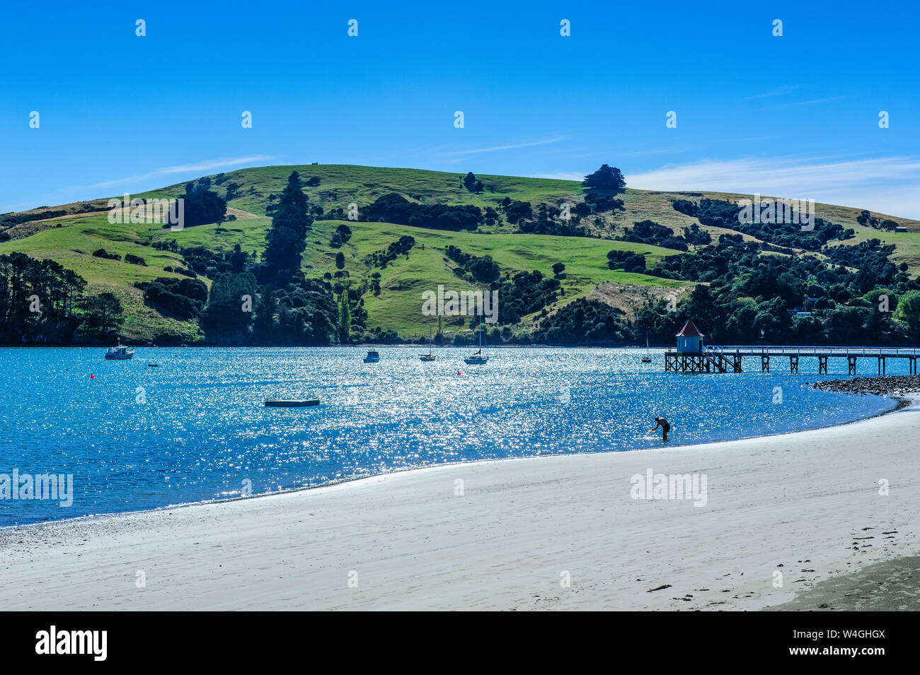 Plage de Colva, Akaroa Harbour, la péninsule de Banks, île du Sud, Nouvelle-Zélande Banque D'Images