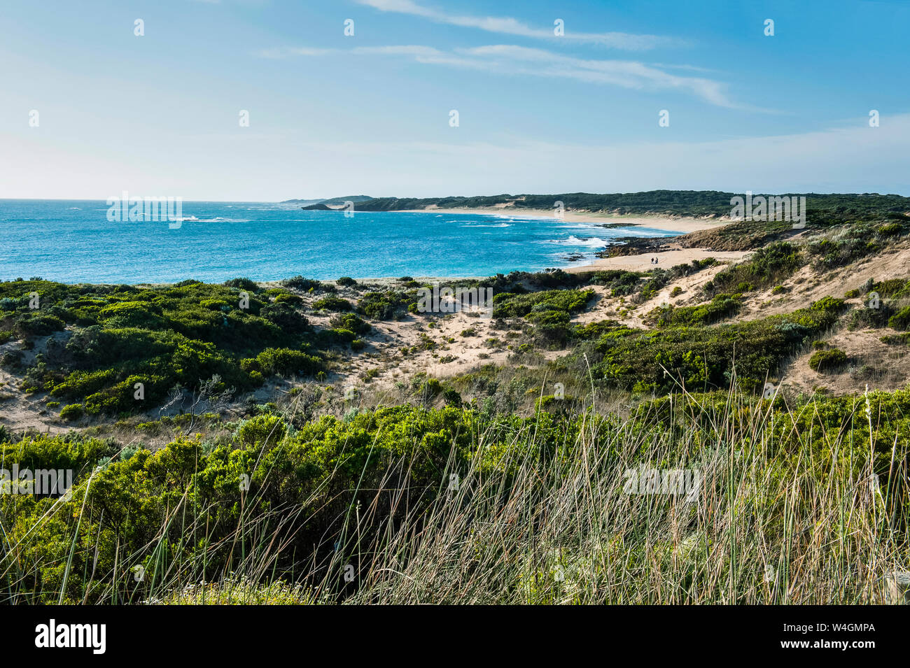 Plage près de Cape Jaffa, Australie du Sud, Australie Banque D'Images