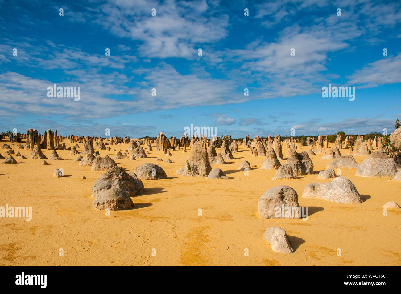 Formations calcaires Pinnacle au coucher du soleil, le Parc National de Nambung, Australie occidentale Banque D'Images