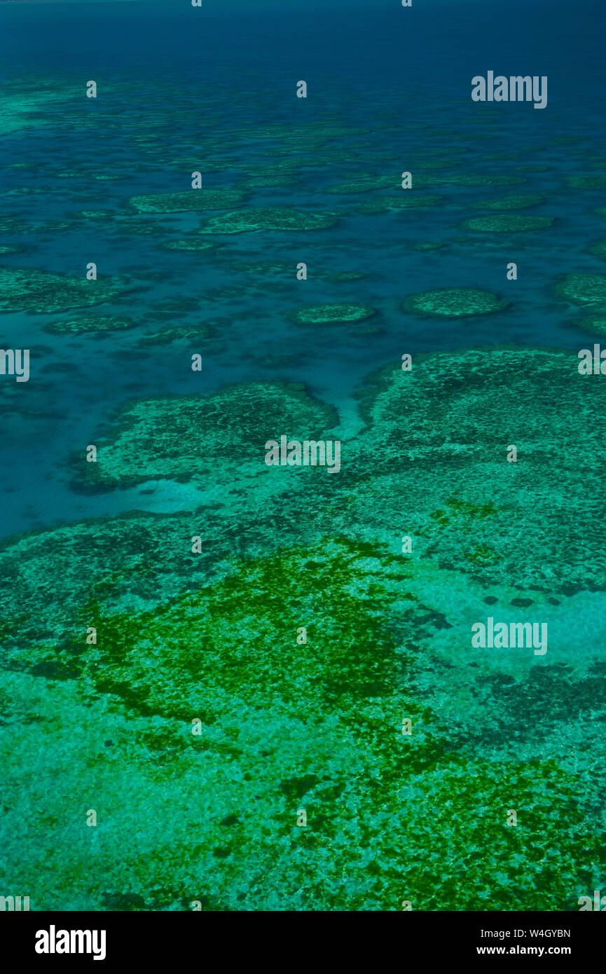 Vue aérienne de la Grande Barrière de Corail, Queensland, Australie Banque D'Images