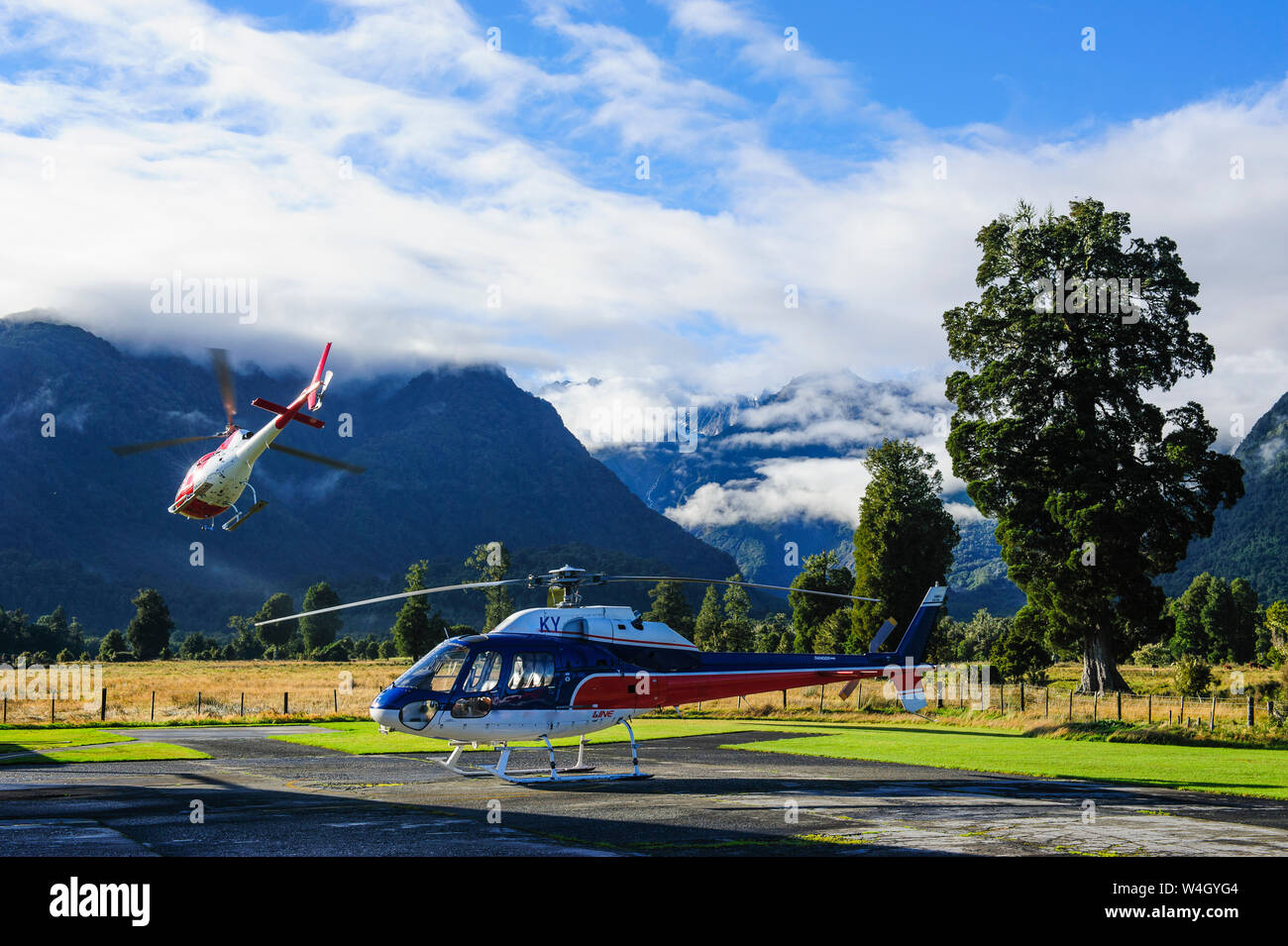 Hélicoptère sur l'aire d'atterrissage tandis qu'un autre s'envole, Fox Glacier, île du Sud, Nouvelle-Zélande Banque D'Images