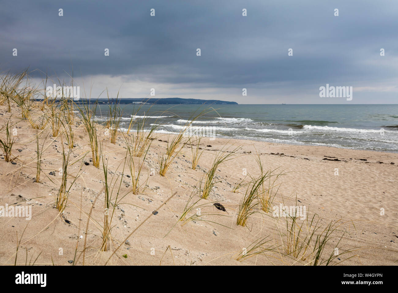 Vue de la mer de la plage de Prora, dunes, Ruegen, Allemagne Banque D'Images