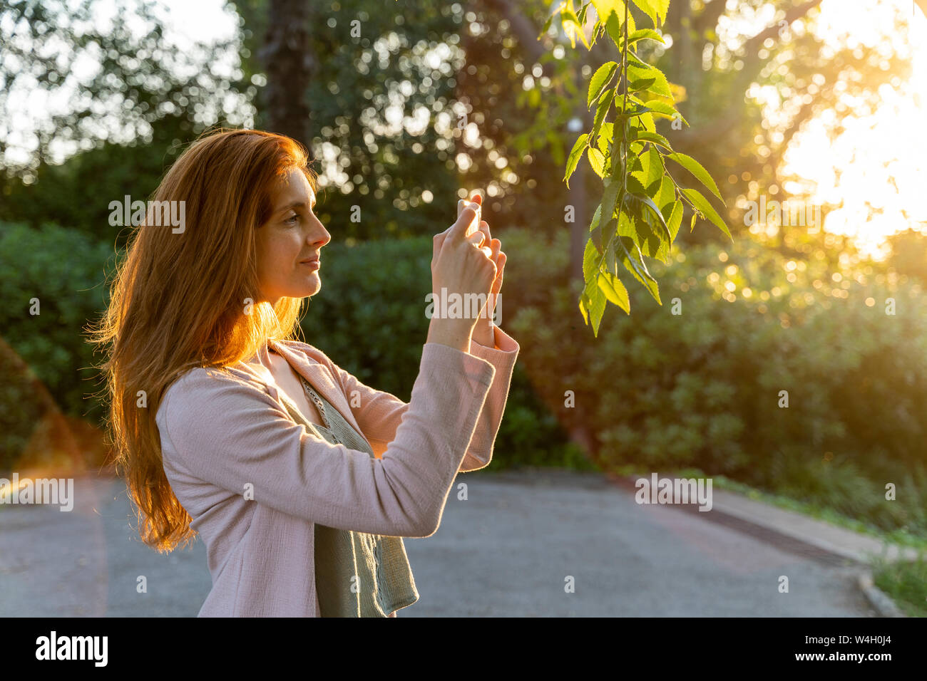 Jeune femme rousse de prendre une photo des feuilles dans un parc Banque D'Images