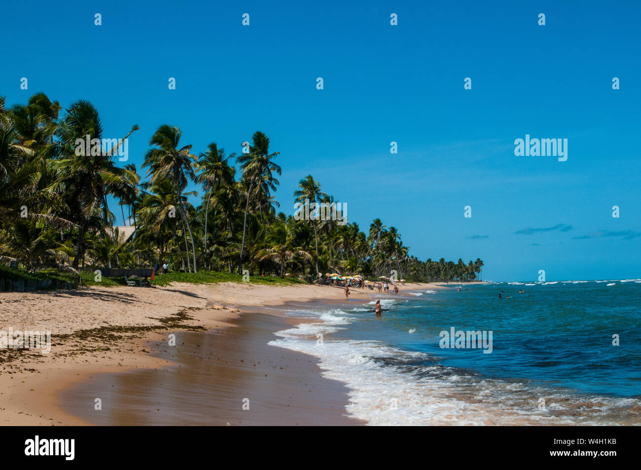 Plage tropicale à Praia do Forte, Bahia, Brésil Banque D'Images