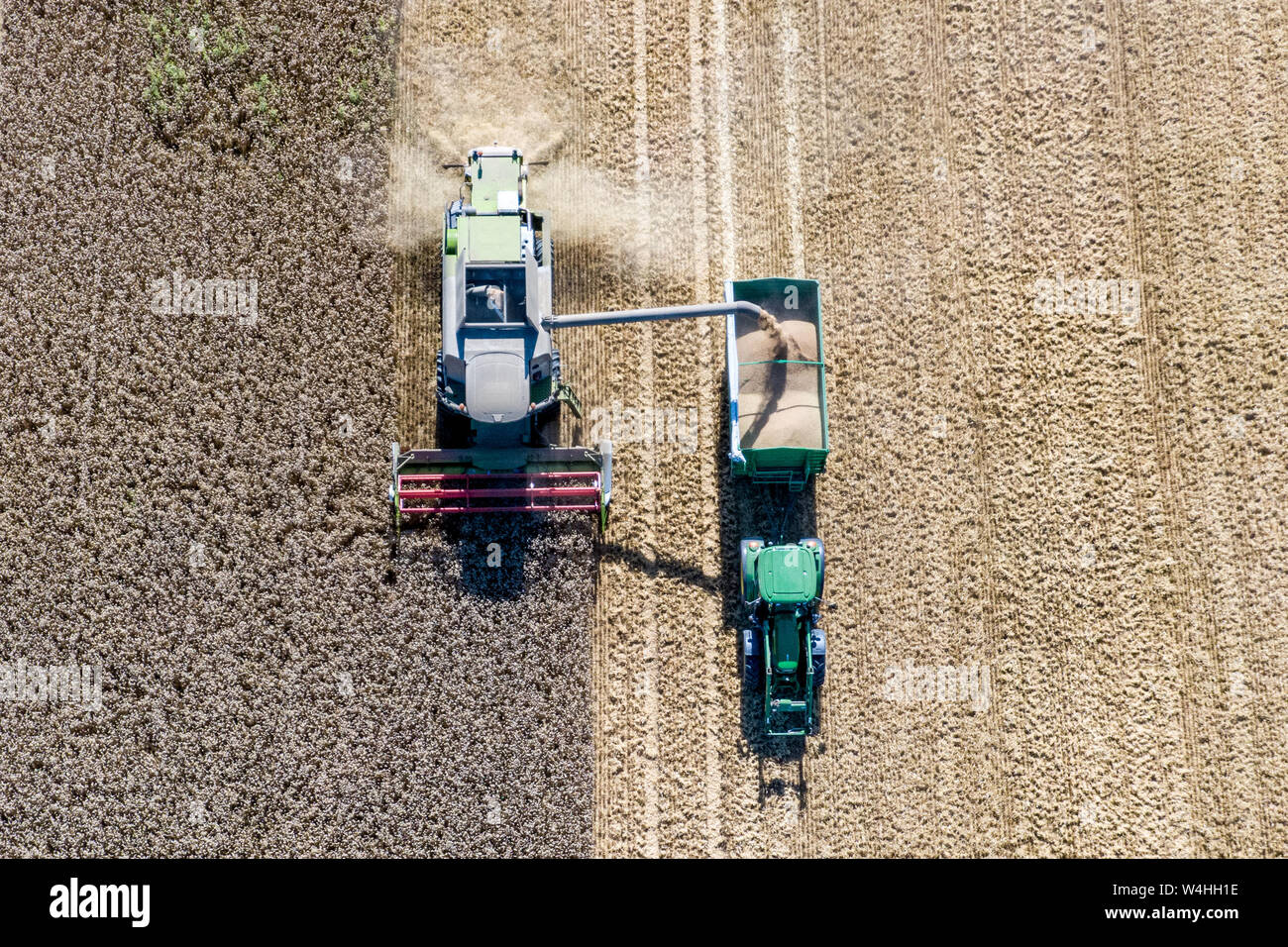 Feldkirchen, Allemagne. 23 juillet, 2019. Le blé est récolté mûr sur un champ avec une moissonneuse-batteuse (l). La moisson en Bavière est en ce moment à rotation totale (photographie aérienne avec drone). Credit : Armin Weigel/dpa/Alamy Live News Banque D'Images