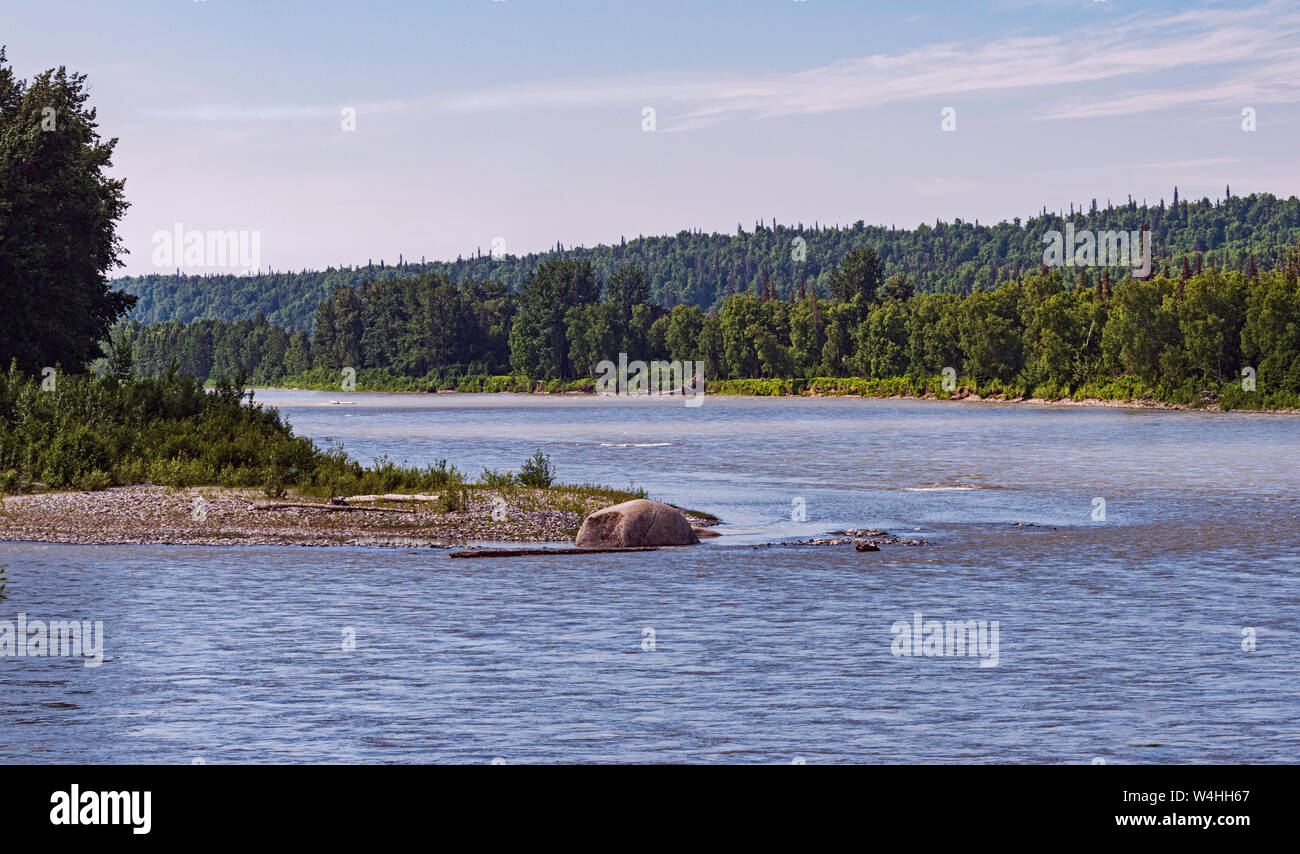Une île de la rivière de la fontaine dans le parc national Denali près de l'autoroute 3 et l'alaska railroad avec forêt et ciel bleu en arrière-plan Banque D'Images