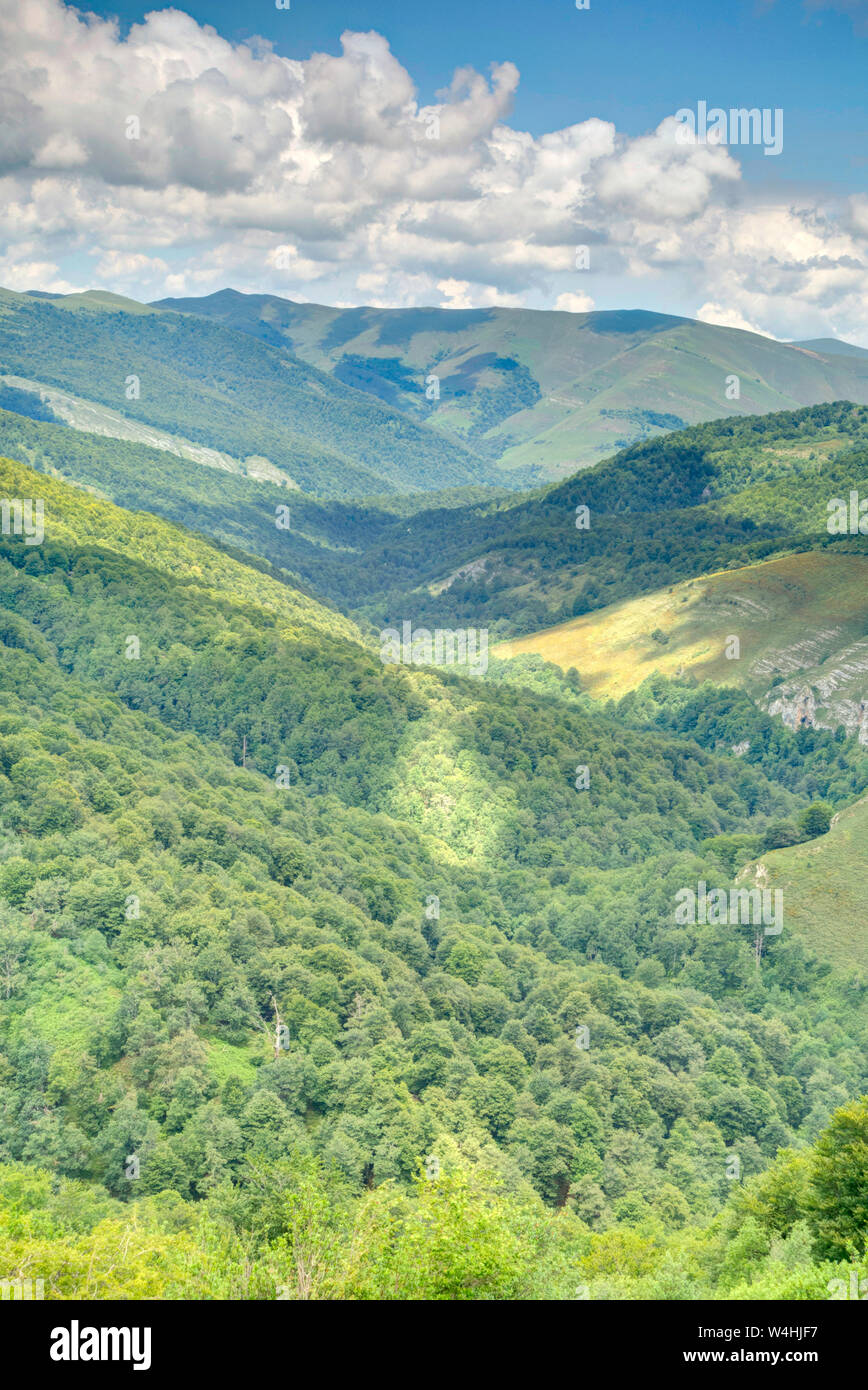 Parc Naturel de Saja-Besaya, Espagne Banque D'Images