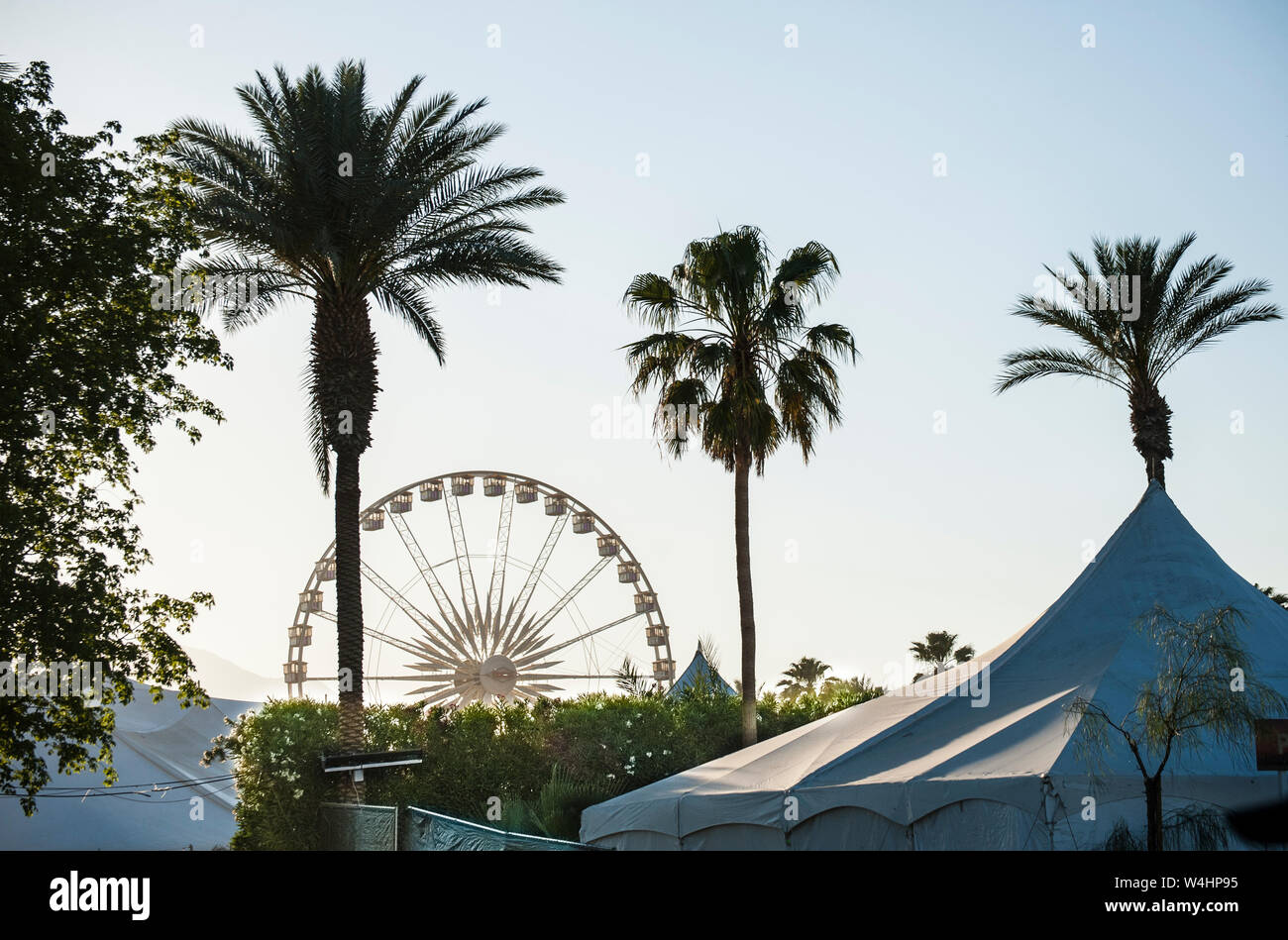 Vue de la grande roue emblématique et de palmiers à l'assemblée annuelle de la vallée de Coachella Music Festival à Indio, CA Banque D'Images