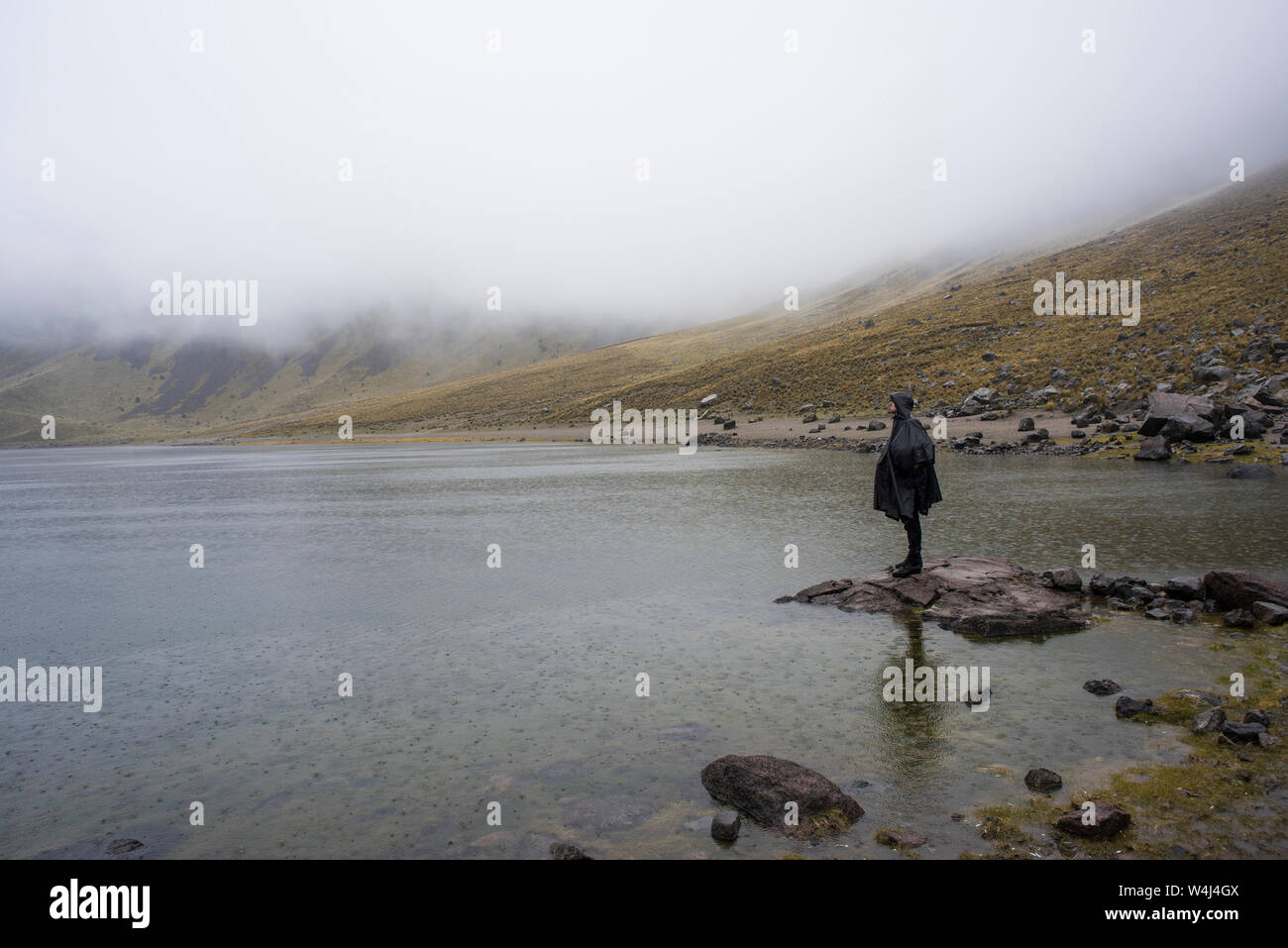 Nevado de Toluca sur un jour de pluie, brouillard Banque D'Images