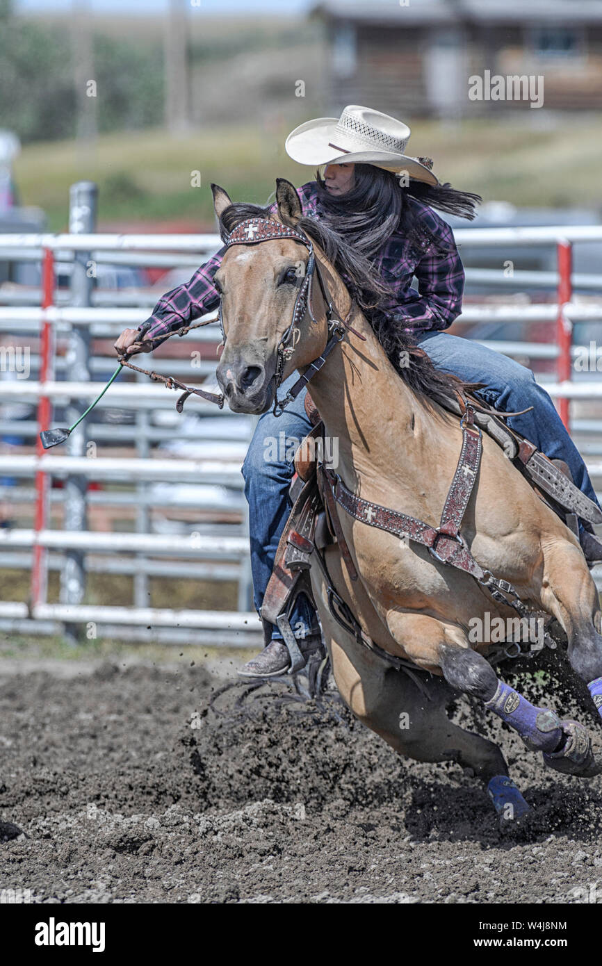 Barrel Racer au rodéo de Kainai à Standoff, Alberta Canada Banque D'Images