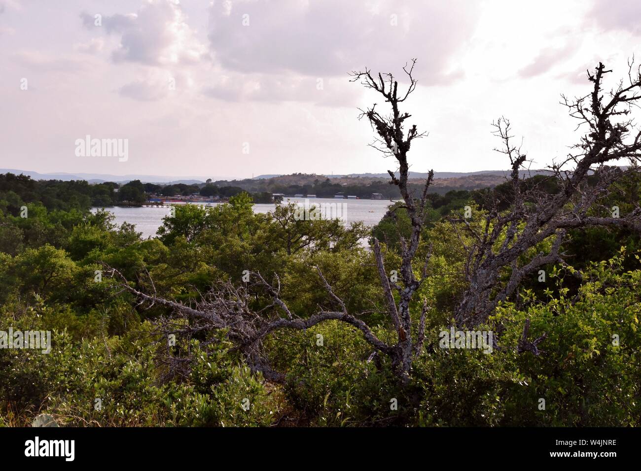 Encres Lake State Park, Texas Hill Country Banque D'Images