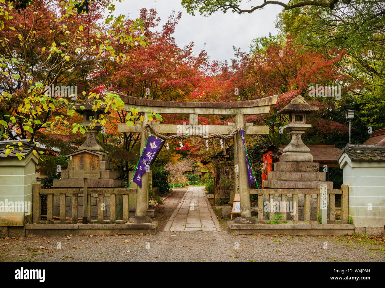 Voir l'automne de Munakata Temple torii (portail traditionnel japonais) dans le parc Impérial de Kyoto Banque D'Images