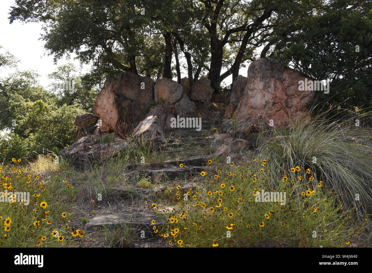 Encres Lake State Park, Texas Hill Country Banque D'Images