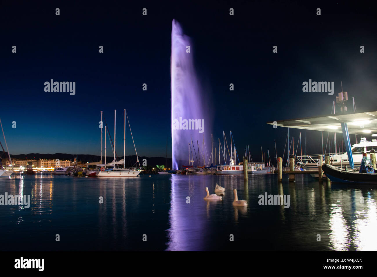 L'exposition longue de capture le jet d'eau avec des cygnes nageant dans un chantier naval à Genève Suisse Banque D'Images