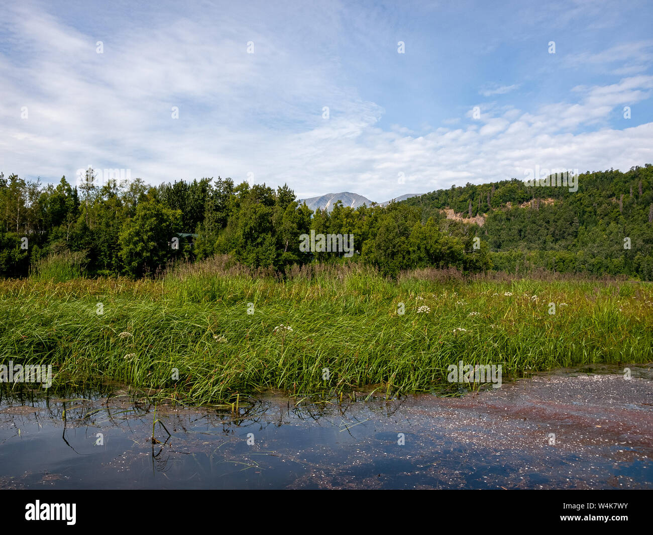 Le ruisseau Alexander et la rivière Susitna. Canotage, pêche, chien de chasse. Près d'Anchorage, Alaska. Banque D'Images