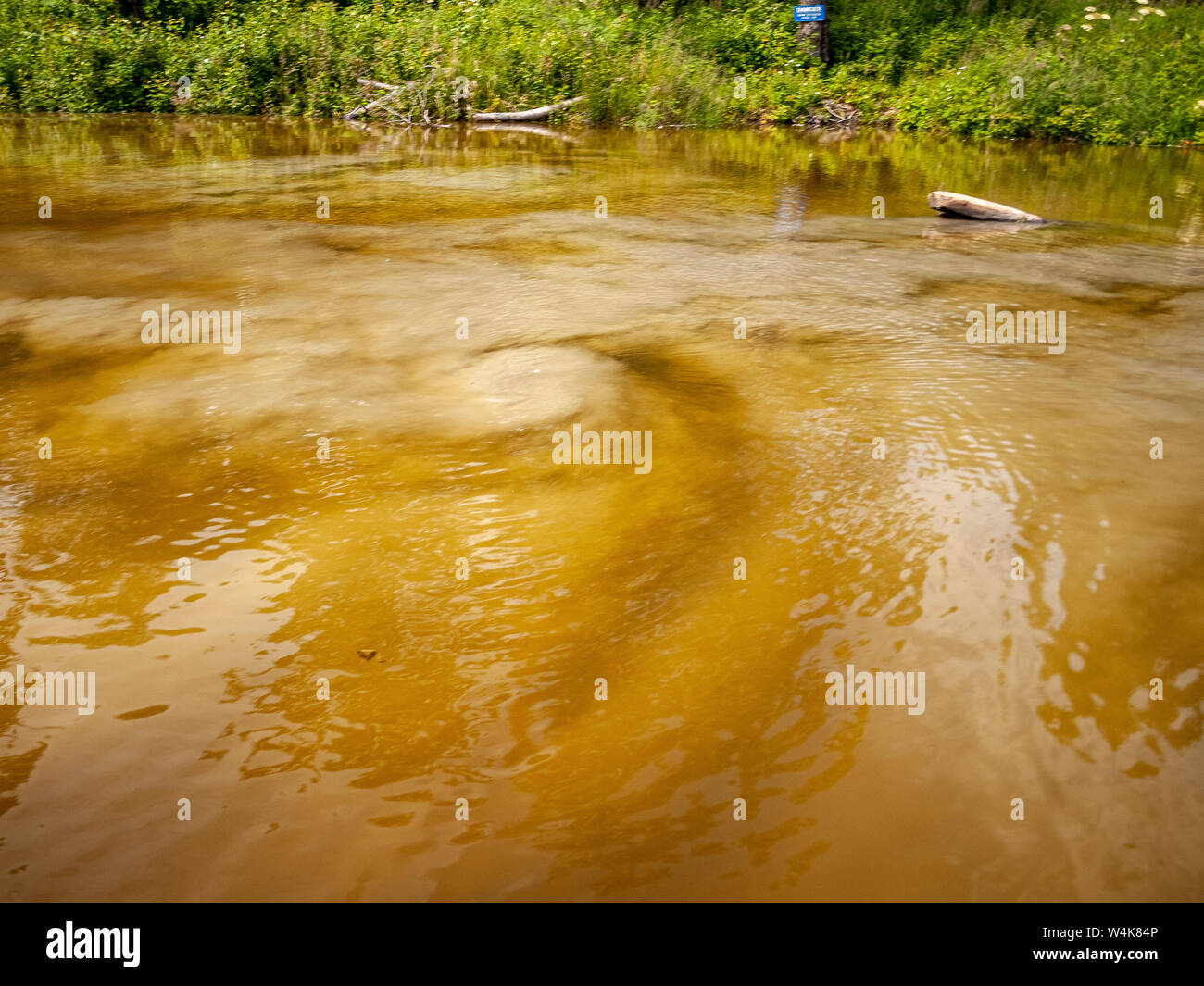 Le ruisseau Alexander et la rivière Susitna. Canotage, pêche, chien de chasse. Près d'Anchorage, Alaska. Banque D'Images