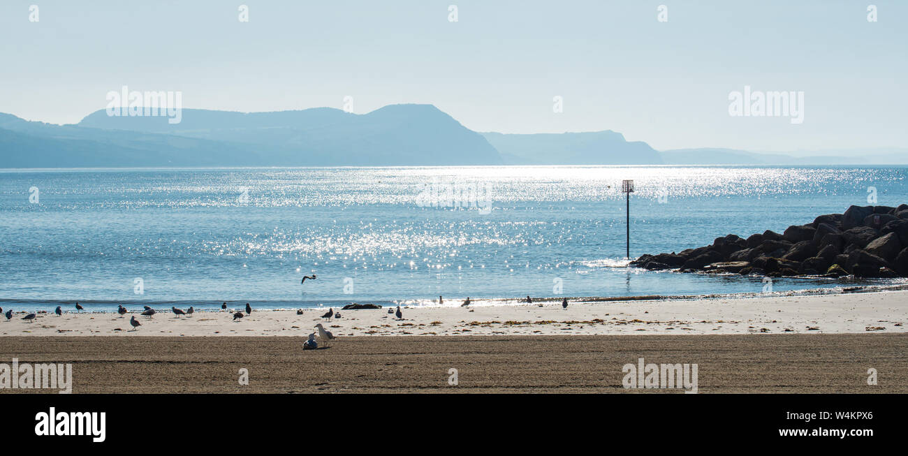 Lyme Regis, dans le Dorset, UK. 24 juillet 2019. Météo France : une brulante de commencer la journée à Lyme Regis. À 8h00 un matin paisible avant de foules de touristes à la plage. Celia McMahon/Alamy Live News. Banque D'Images