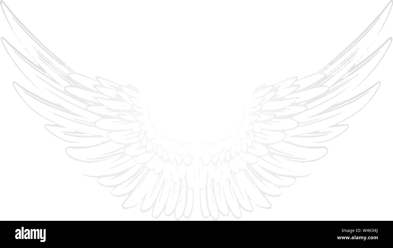 Vector fond blanc avec paire d'ailes. Angel Wings Illustration de Vecteur