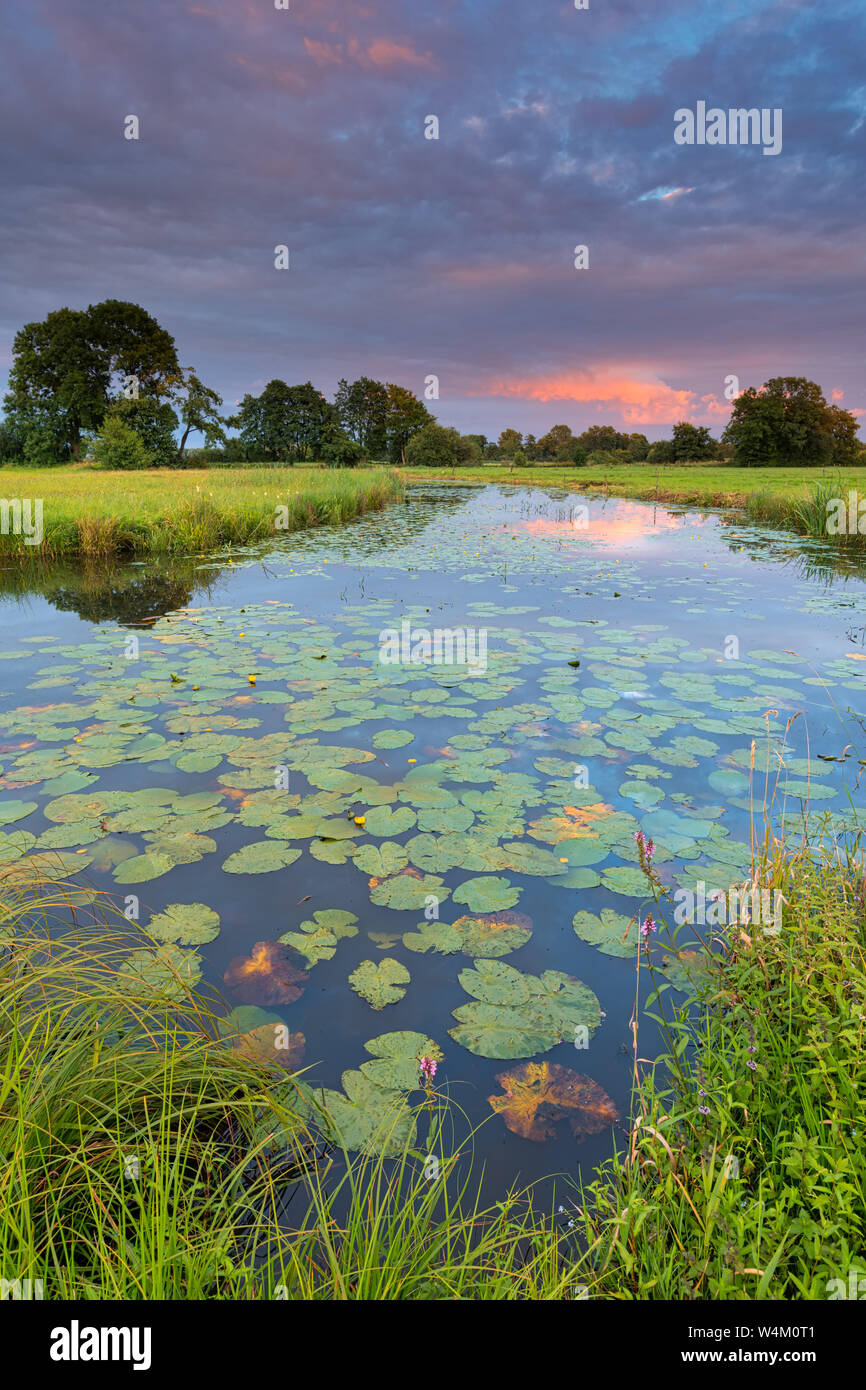 Une rivière qui coule à travers les champs verts luxuriants au coucher du soleil avec un ciel coloré - Meppel, Drenthe, Pays-Bas Banque D'Images