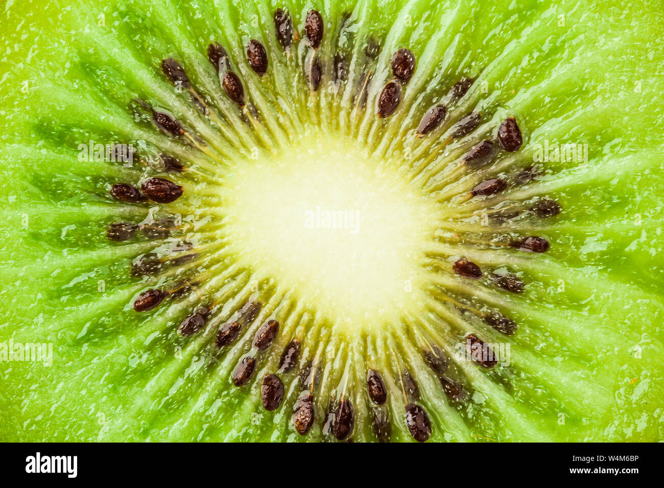 Arrière-plan avec kiwi macro. La texture de kiwi macro. Tranche de kiwi macro. Banque D'Images