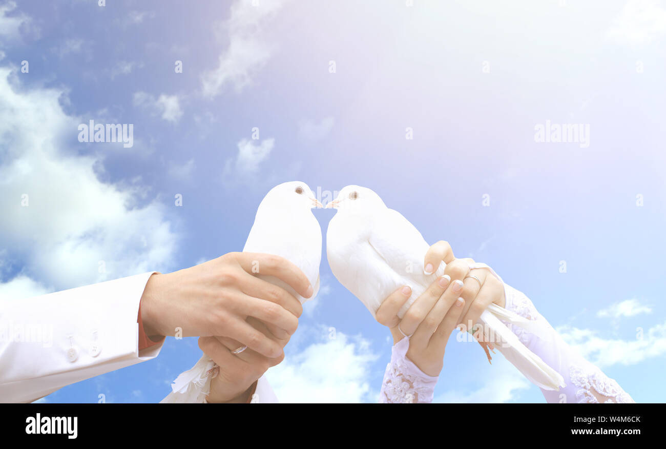 Pigeons sur le mariage dans les mains des jeunes sur l'arrière-plan de la sunny sky Banque D'Images