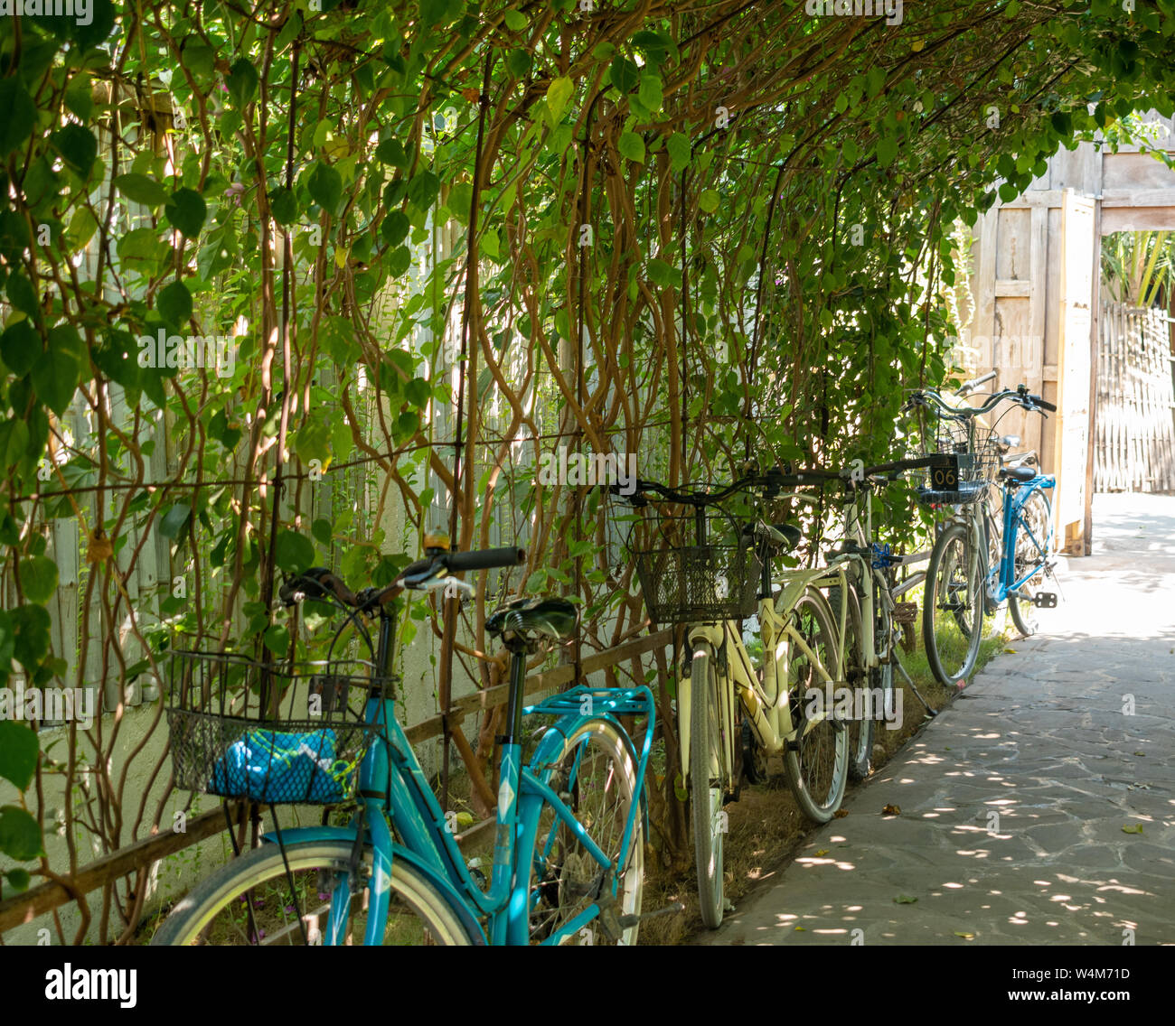 Des vélos sur Gili Air Banque D'Images