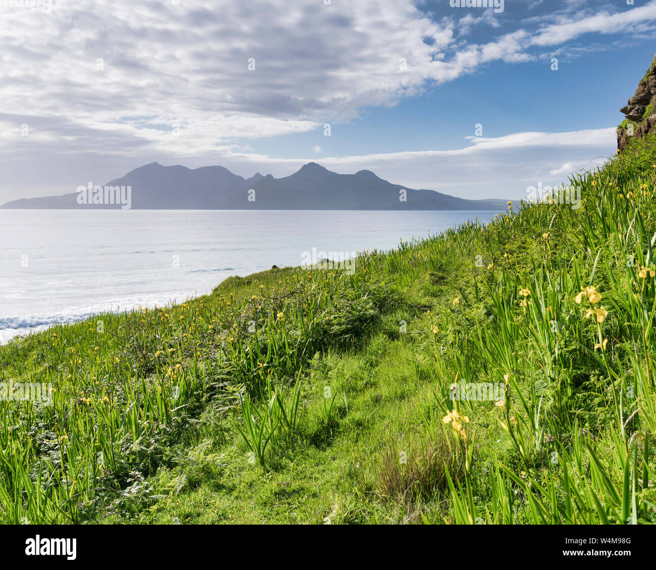 Iris en fleurs le long des falaises à Cleadale, Liag bay, à l'île de Eigg et distants à l'île de Rum sur l'horizon au milieu de l'été. Banque D'Images