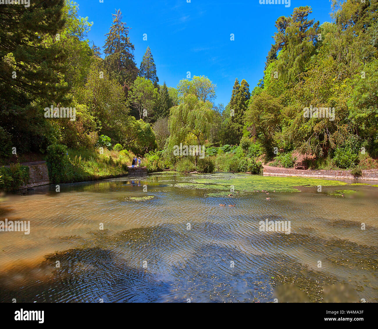 Go - DEVON : Les Lacs de Cockington près de Torquay (image HDR) Banque D'Images