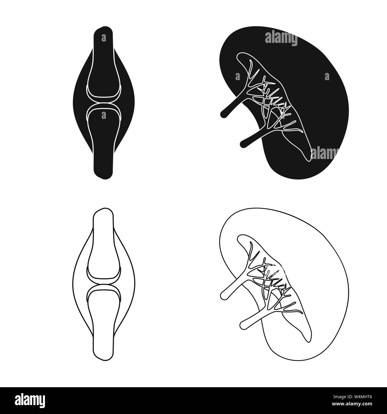 Objet isolé de la biologie et de la science d'un logo. Collection de biologie et de laboratoire symbole boursier pour le web. Illustration de Vecteur