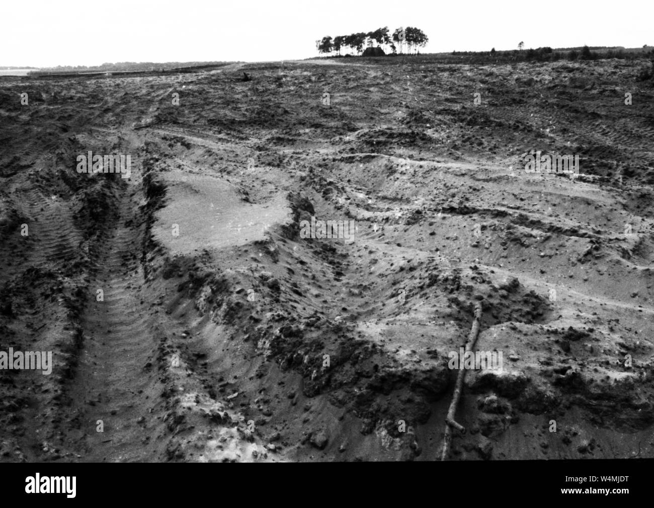 De grandes parties de l'Lueneburger Heide ont été endommagés par les manœuvres de l'OTAN - ici par l'armée britannique sur le 5.6.1973 à Bergen-Hohne. Dans le monde d'utilisation | Banque D'Images