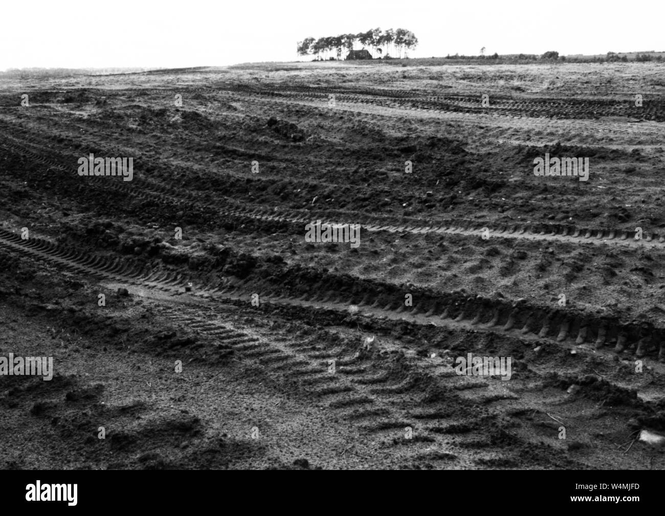 De grandes parties de l'Lueneburger Heide ont été endommagés par les manœuvres de l'OTAN - ici par l'armée britannique sur le 5.6.1973 à Bergen-Hohne. Dans le monde d'utilisation | Banque D'Images