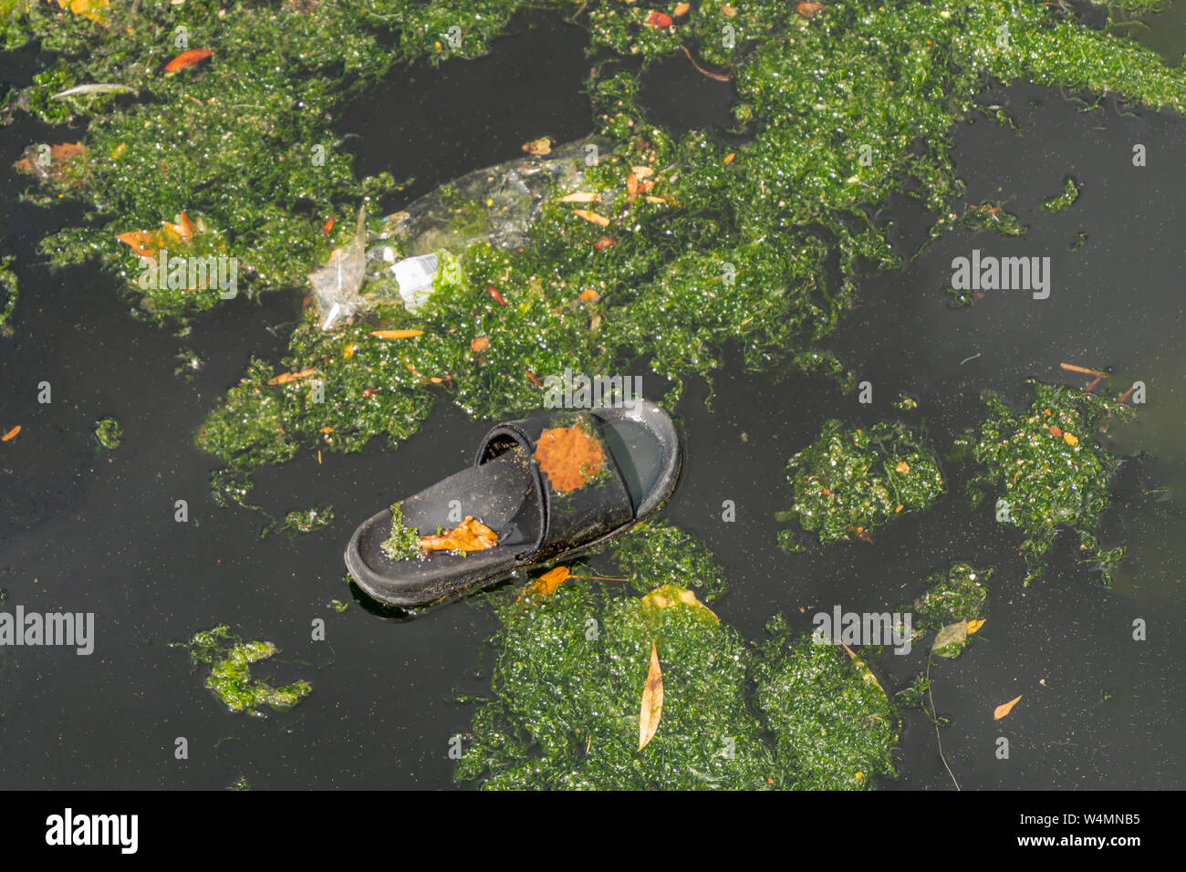 Les déchets en plastique dans l'eau cause la pollution, vieille chaussure flotte dans l'étang - la pollution de l'environnement et d'élimination des déchets concept. Banque D'Images