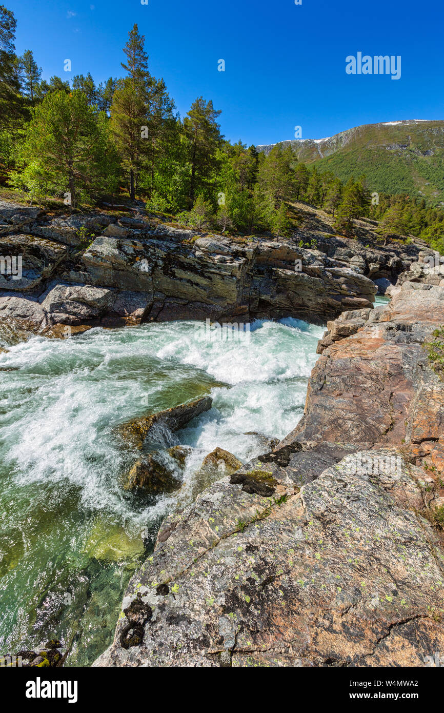 Une nature sauvage et impressionnant paysage norvégien avec montagnes, rivières, forêts en été - une destination populaire - Norvège Banque D'Images