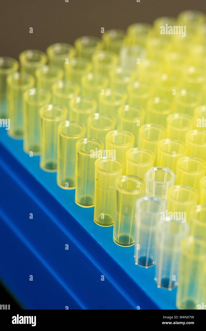 Close-up de plusieurs rangées de flacons d'échantillon dans un laboratoire de biotechnologie à l'Université Johns Hopkins de Baltimore, Maryland, le 21 janvier 2010. À partir de la collection photographique de Homewood. () Banque D'Images