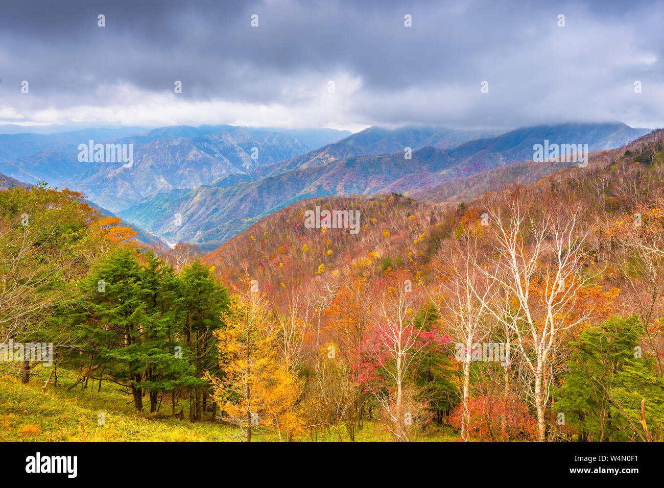 Paysage dans le Parc National de Nikko à Fukuoka, au Japon. Banque D'Images