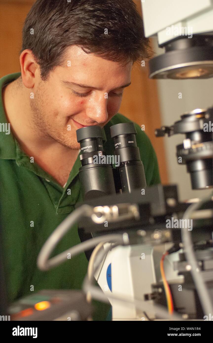 Close-up d'un chercheur dans le département de biophysique Jenkins à l'Université Johns Hopkins de Baltimore, Maryland, travailler avec un microscope, le 22 juillet 2008. À partir de la collection photographique de Homewood. () Banque D'Images