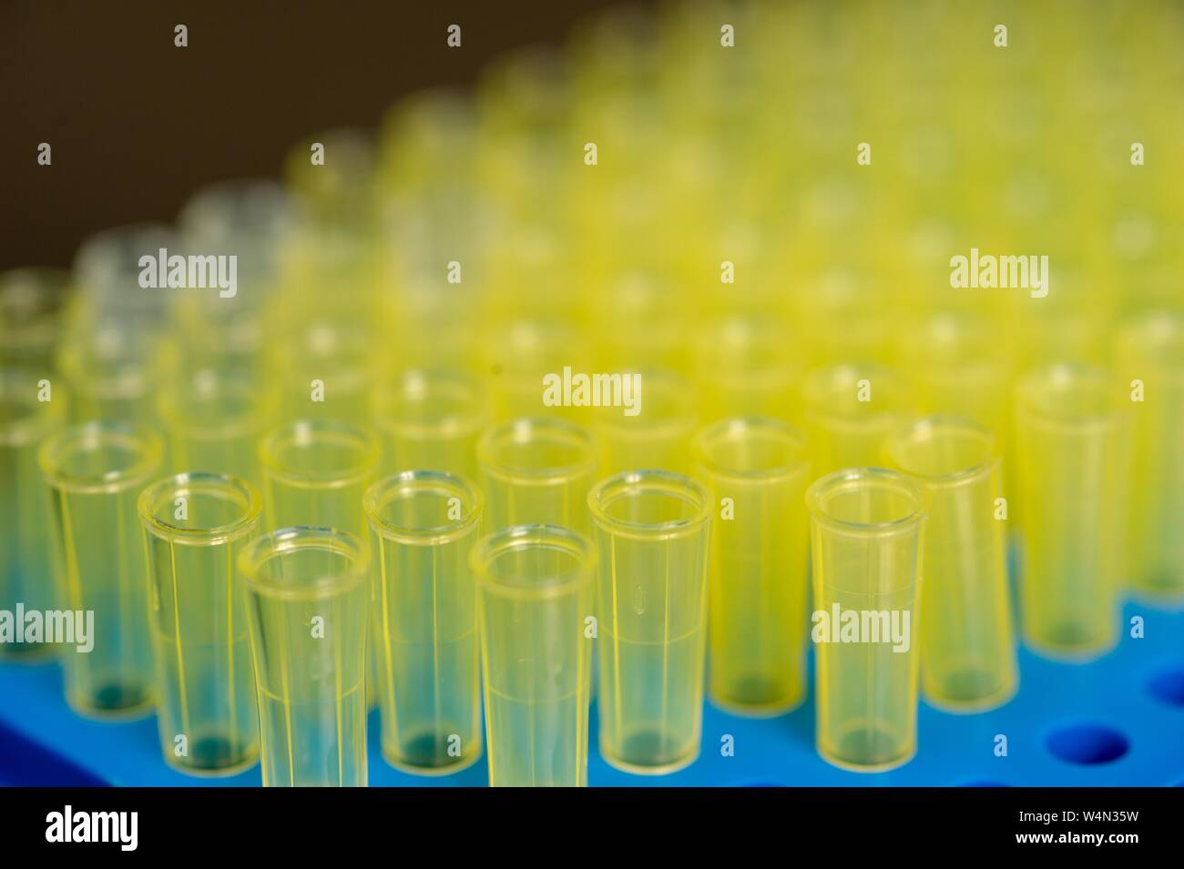 Close-up de plusieurs rangées de flacons d'échantillon dans un laboratoire de biotechnologie à l'Université Johns Hopkins de Baltimore, Maryland, le 21 janvier 2010. À partir de la collection photographique de Homewood. () Banque D'Images