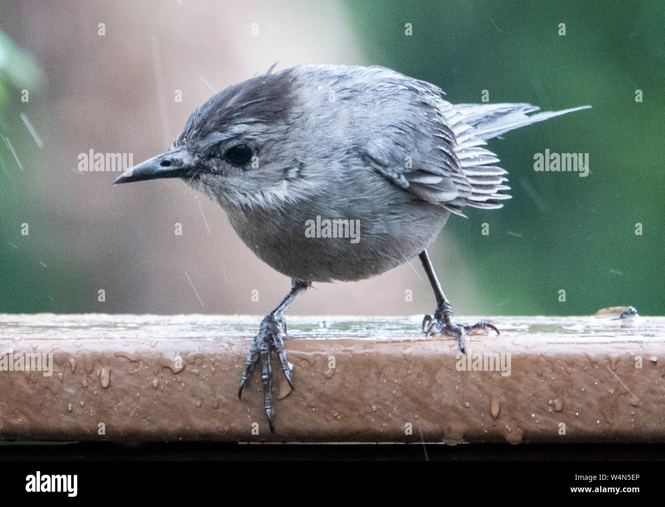 Regardant vers le bas Banque D'Images